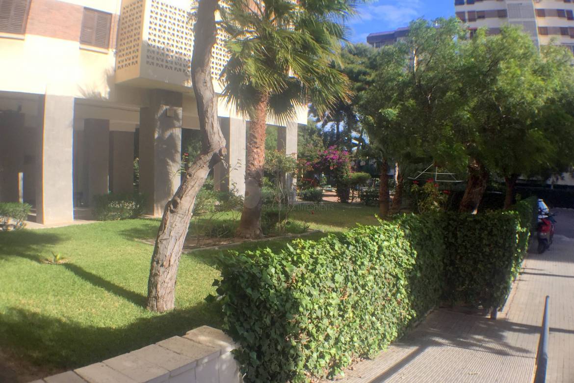 Venta - Apartment - Alicante - ALICANTE