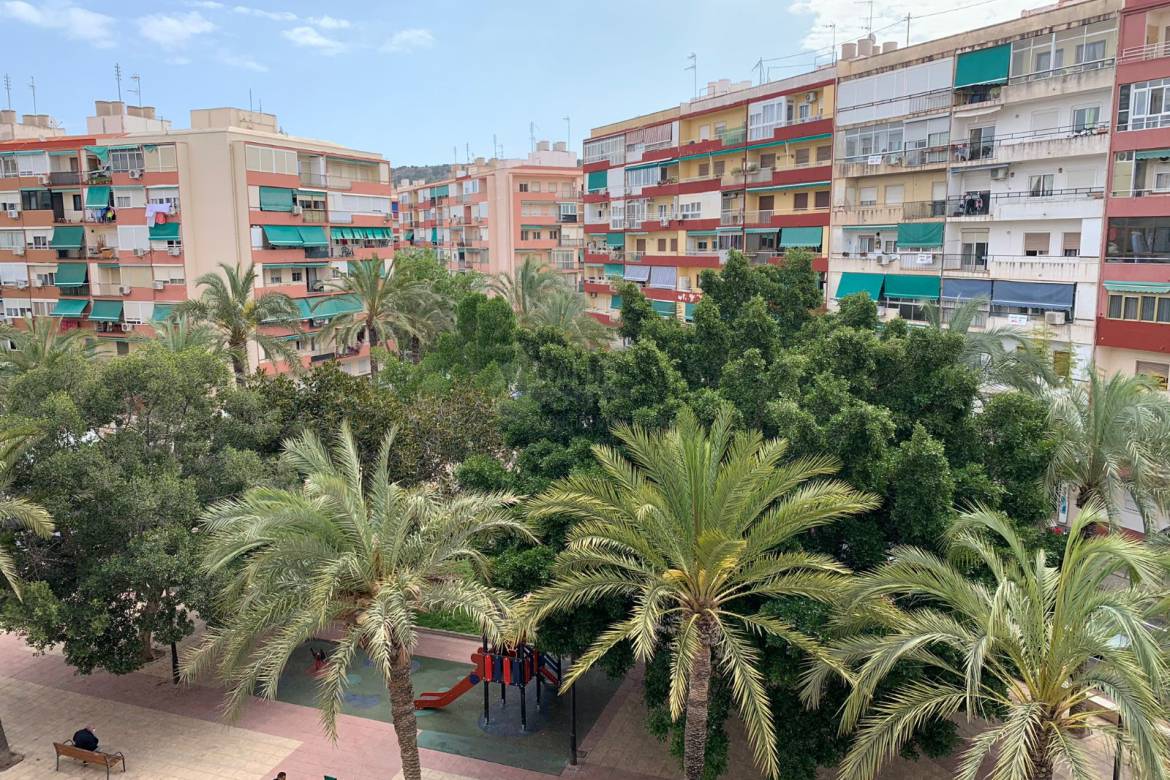 Venta - Apartment - Alicante - Alicante center